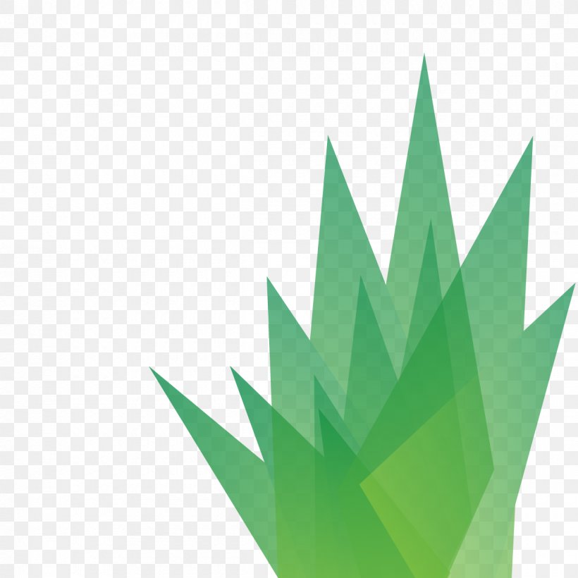 Leaf Angle, PNG, 1200x1200px, Leaf, Grass, Green Download Free
