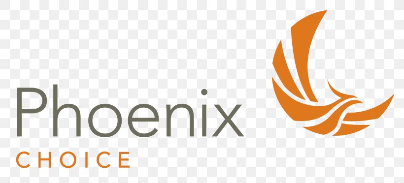 Logo Brand Product Design Font, PNG, 3075x1395px, Logo, Brand, Computer, Orange, Phoenix Download Free