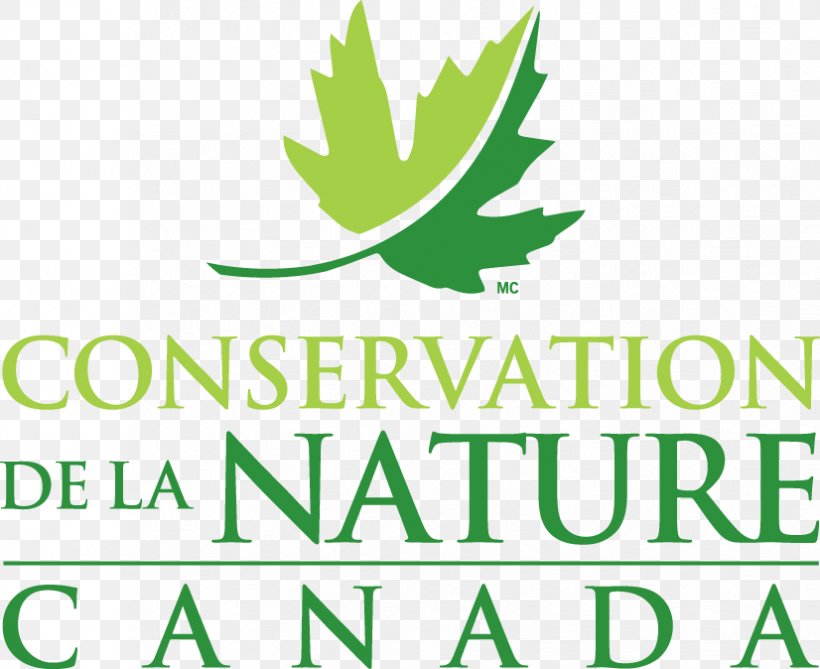 Conservation Nature Conservancy Of Canada Logo Natural Environment, PNG, 826x674px, Conservation, Area, Brand, Canada, Grass Download Free