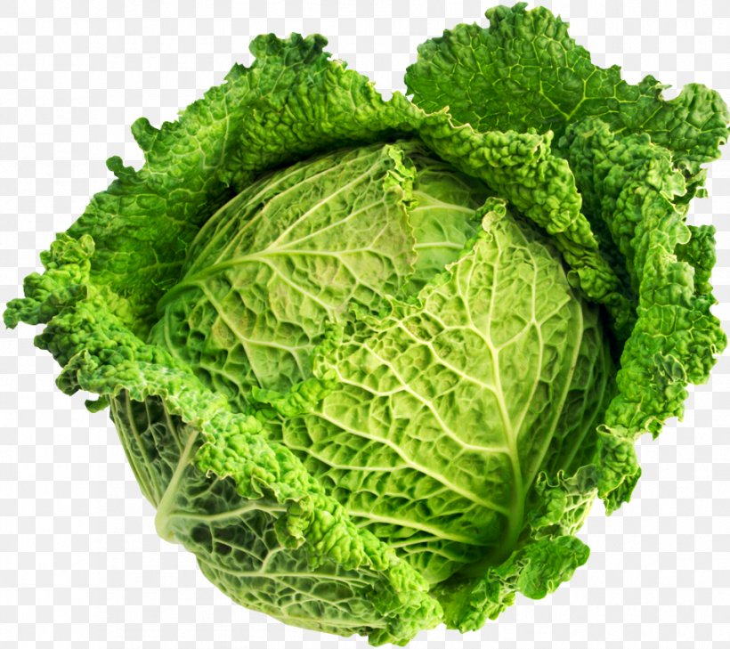 Savoy Cabbage Brassica Oleracea Var. Acephala Vegetable Variety, PNG, 955x850px, Savoy Cabbage, Brassica, Brassica Oleracea, Brassica Oleracea Var Acephala, Cabbage Download Free