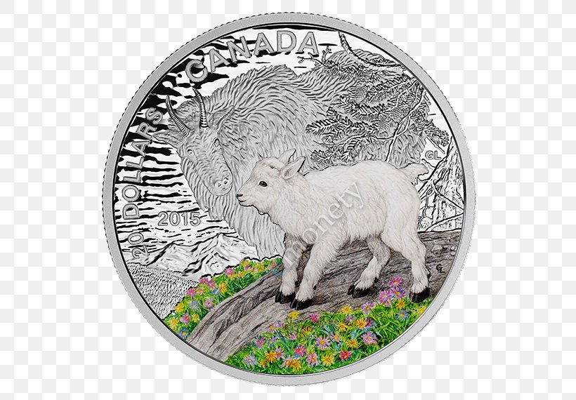 Sheep Canada Goat Silver Coin, PNG, 570x570px, Sheep, Animal, Canada, Canadian Silver Maple Leaf, Coin Download Free