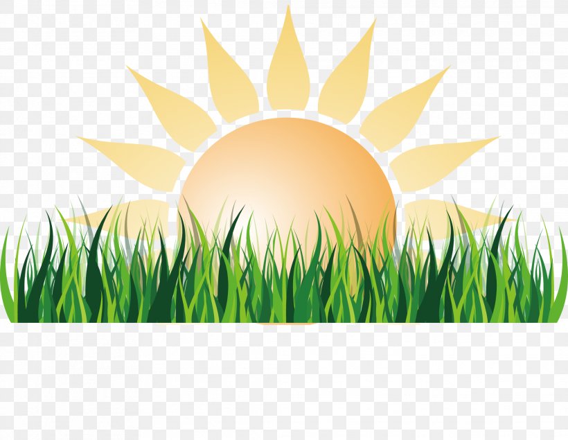 Sunlight Euclidean Vector, PNG, 2078x1611px, Sun, Commodity, Grass, Grass Family, Grass Gis Download Free