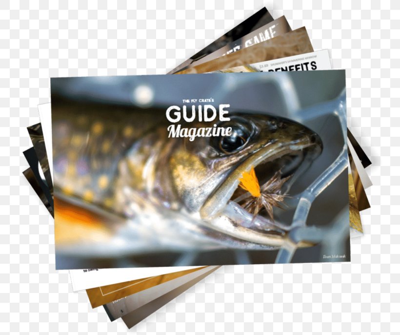 Trout Bum Fly Fishing The Fly Box, PNG, 800x686px, Trout Bum, Box, Brand, Combination, Crate Download Free