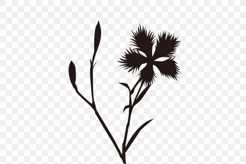 Twig Desktop Wallpaper Black Leaf Plant Stem, PNG, 1000x667px, Twig, Black, Black And White, Branch, Computer Download Free
