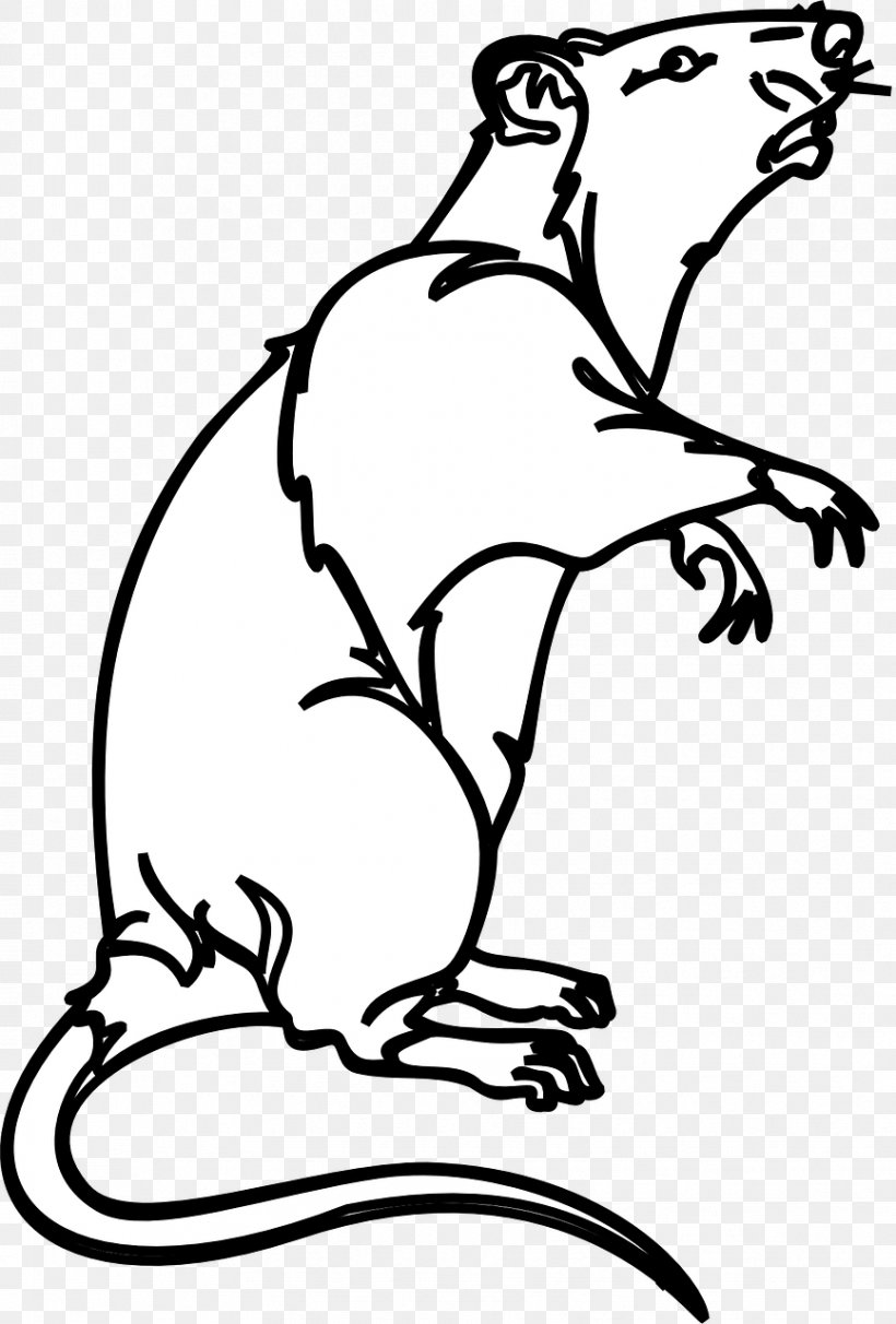 Black Rat Laboratory Rat Mouse Bonthain Rat Clip Art, PNG, 866x1280px, Black Rat, Art, Artwork, Beak, Bird Download Free
