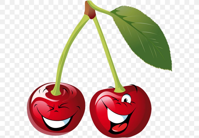 Cherry Clip Art, PNG, 600x570px, Cherry, Cartoon, Drawing, Flowering Plant, Food Download Free