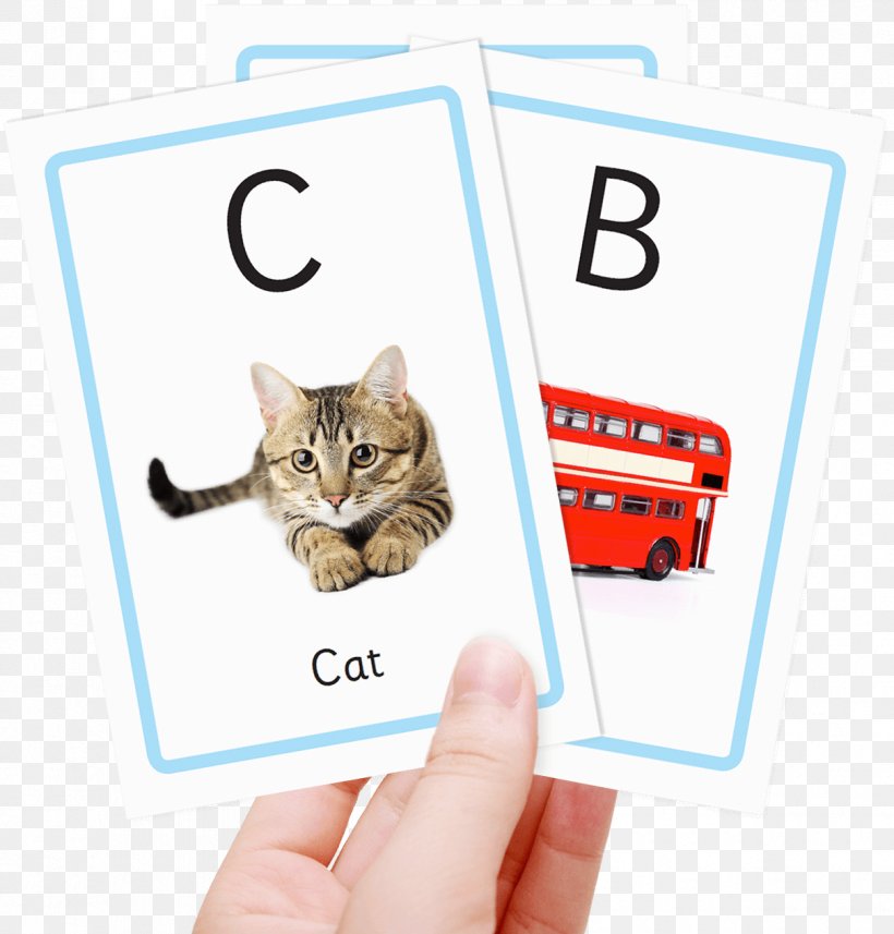 Flashcard Phonics Alphabet Child, PNG, 1210x1265px, Flashcard, Alphabet, Animal, Cat, Cat Like Mammal Download Free