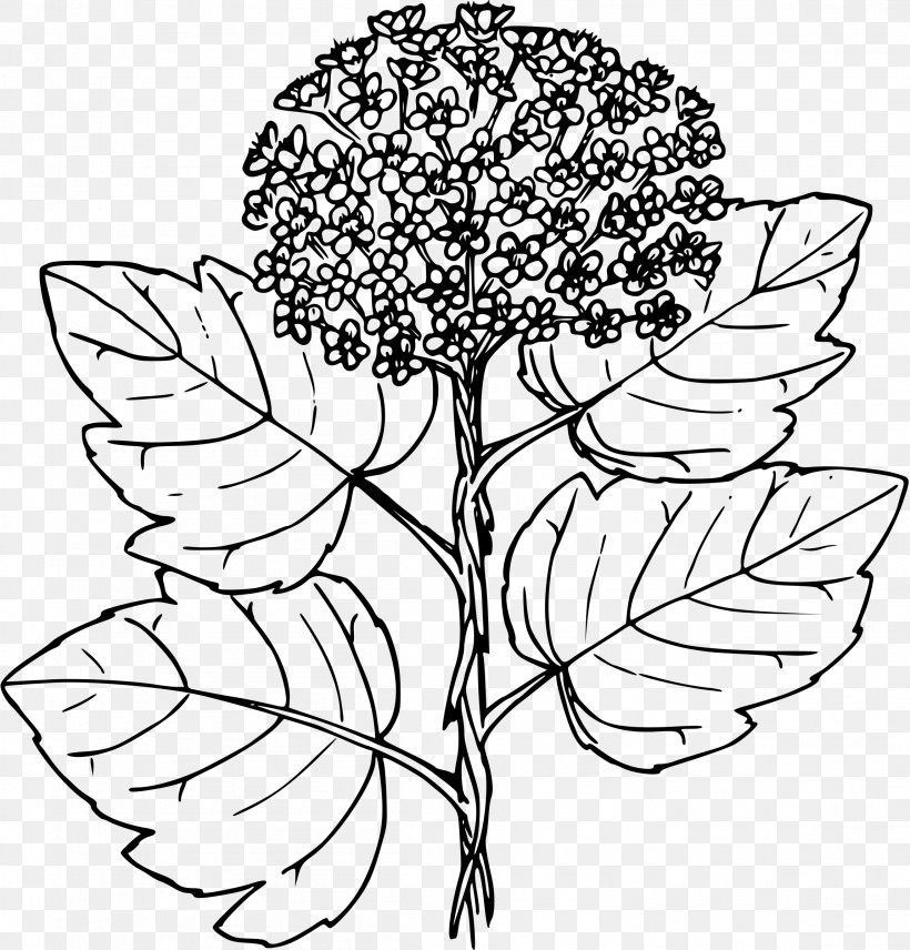 Floral Design Ninebark Physocarpus Malvaceus Clip Art, PNG, 2298x2400px, Floral Design, Art, Artwork, Black And White, Branch Download Free