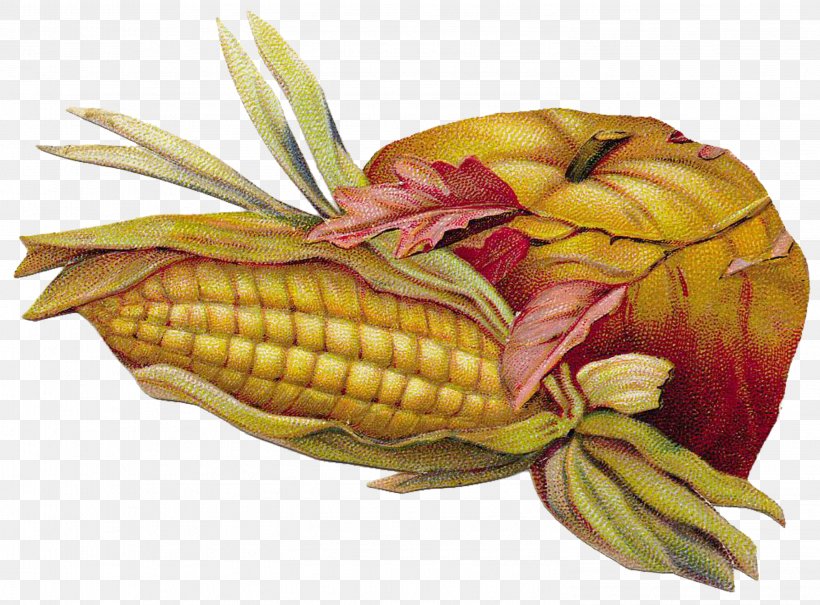 Last Chance Cemetery Oxford Cemetery Stoneking Cemetery Corn On The Cob Clip Art, PNG, 2953x2182px, Corn On The Cob, Cemetery, Commodity, Food, Fruit Download Free