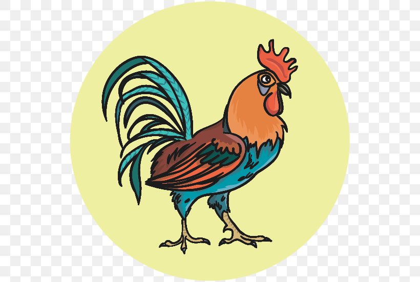 Rooster Beak Chicken As Food Clip Art, PNG, 552x551px, Rooster, Art, Beak, Bird, Chicken Download Free