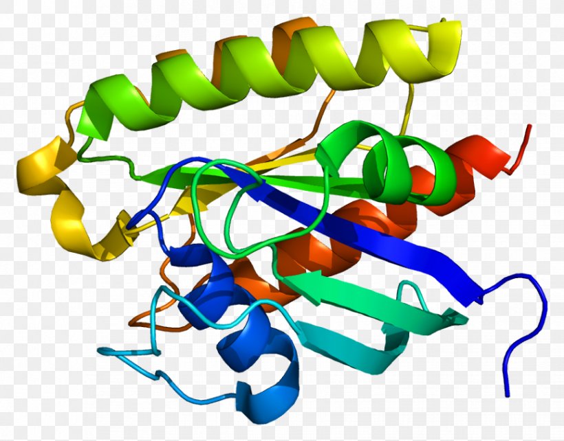 RRAS Protein Gene Ras Subfamily Wikipedia, PNG, 864x677px, Protein, Encyclopedia, Gene, Human, Javanese Language Download Free