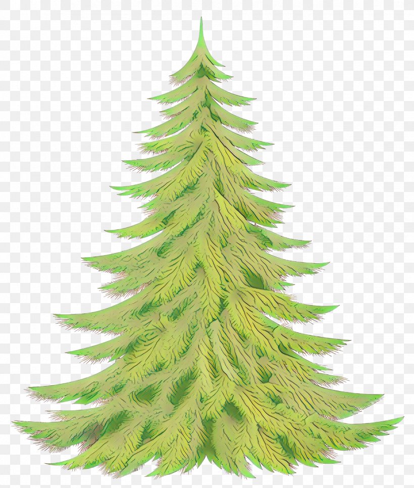 Shortleaf Black Spruce Yellow Fir Columbian Spruce White Pine Balsam Fir, PNG, 1737x2048px, Cartoon, Balsam Fir, Colorado Spruce, Columbian Spruce, Lodgepole Pine Download Free