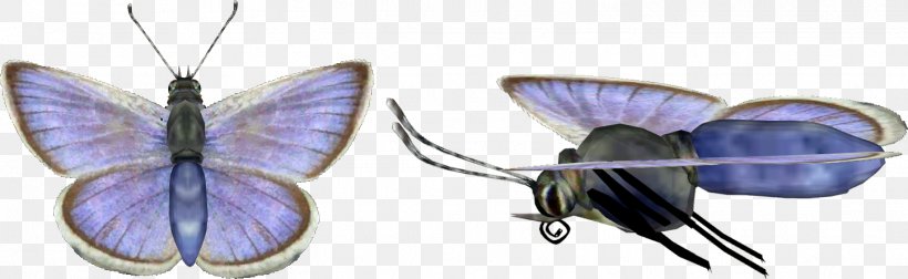 Body Jewellery Insect, PNG, 1446x446px, Jewellery, Arthropod, Body Jewellery, Body Jewelry, Butterfly Download Free