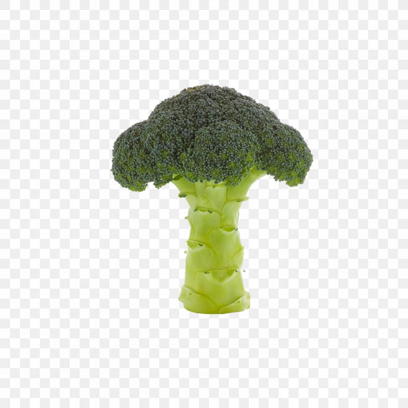 Broccoli Vegetable Cauliflower, PNG, 2953x2953px, Blue, Animation, Broccoli, Designer, Grass Download Free