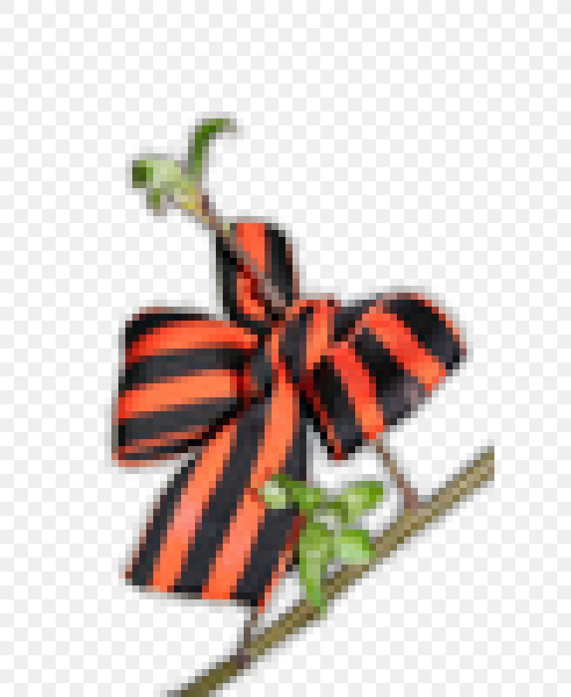 Insect Orange Butterflies And Moths Membrane Bait, PNG, 600x1000px, Insect, Bait, Box, Butterflies And Moths, Invertebrate Download Free