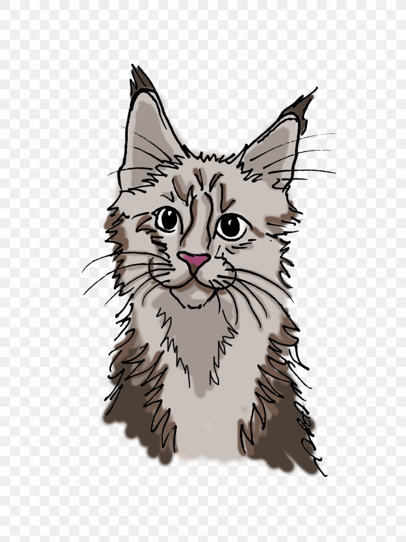 Whiskers Maine Coon Kitten Tabby Cat Domestic Short-haired Cat, PNG, 2448x3264px, Whiskers, Carnivoran, Cat, Cat Like Mammal, Domestic Short Haired Cat Download Free