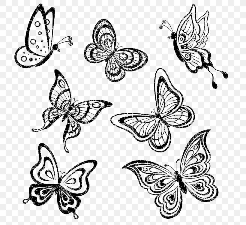 Butterfly Drawing Monochrome Royalty-free, PNG, 750x750px, Butterfly, Black And White, Brush Footed Butterfly, Drawing, Insect Download Free