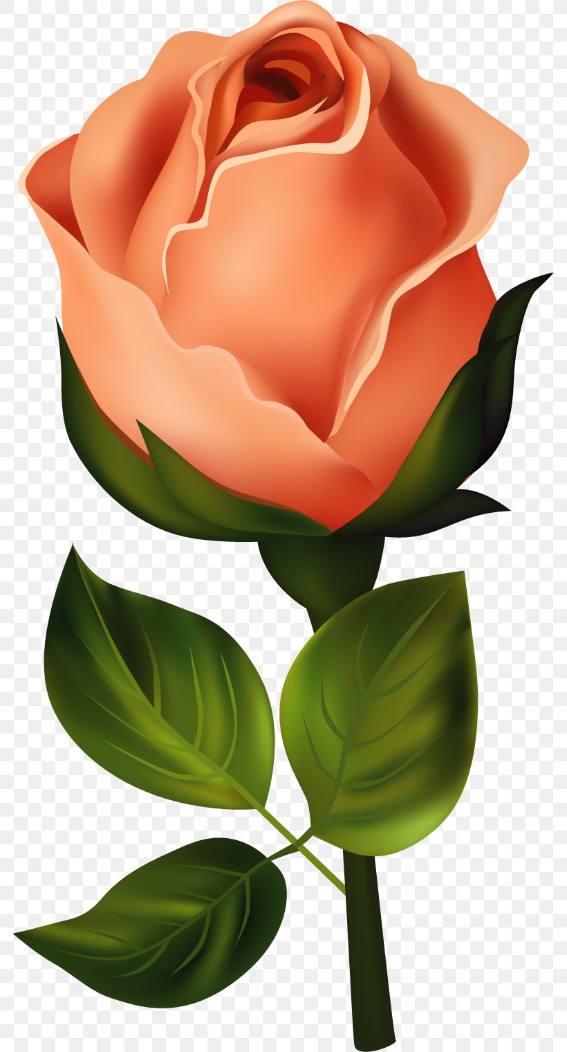 Flower Bouquet Rose Birth Flower Clip Art, PNG, 783x1520px, Flower, Art, Badnam, Birth Flower, Bud Download Free