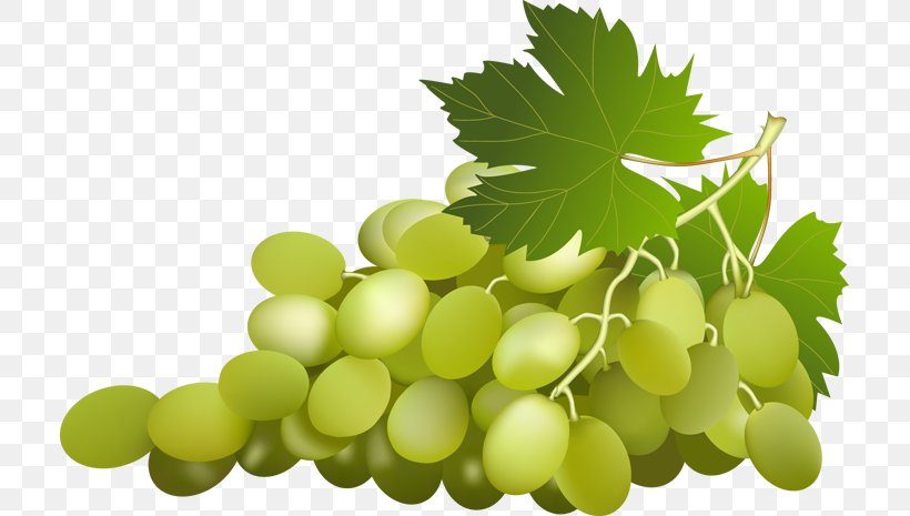 Grape Leaves Wine Clip Art, PNG, 711x465px, Grape, Food, Fruit, Grape Juice, Grape Leaves Download Free