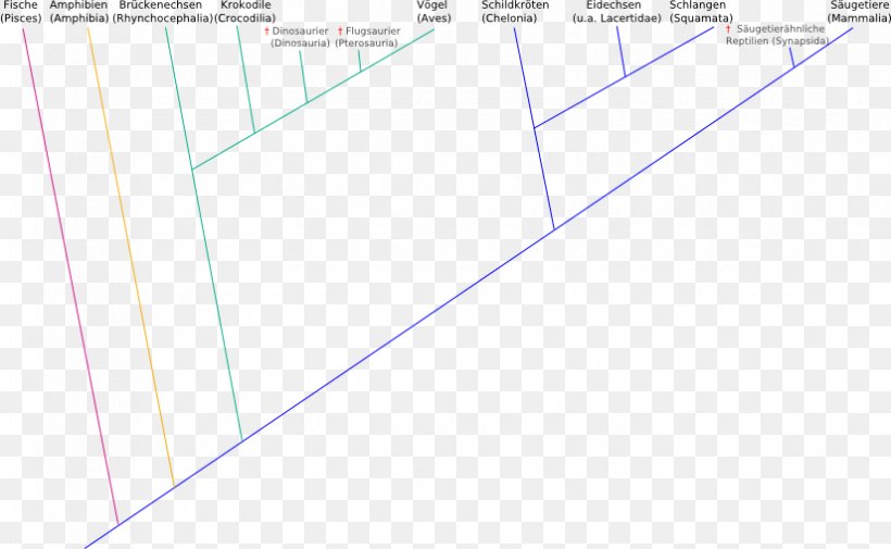 Line Document Angle Point, PNG, 825x509px, Document, Area, Diagram, Paper, Parallel Download Free