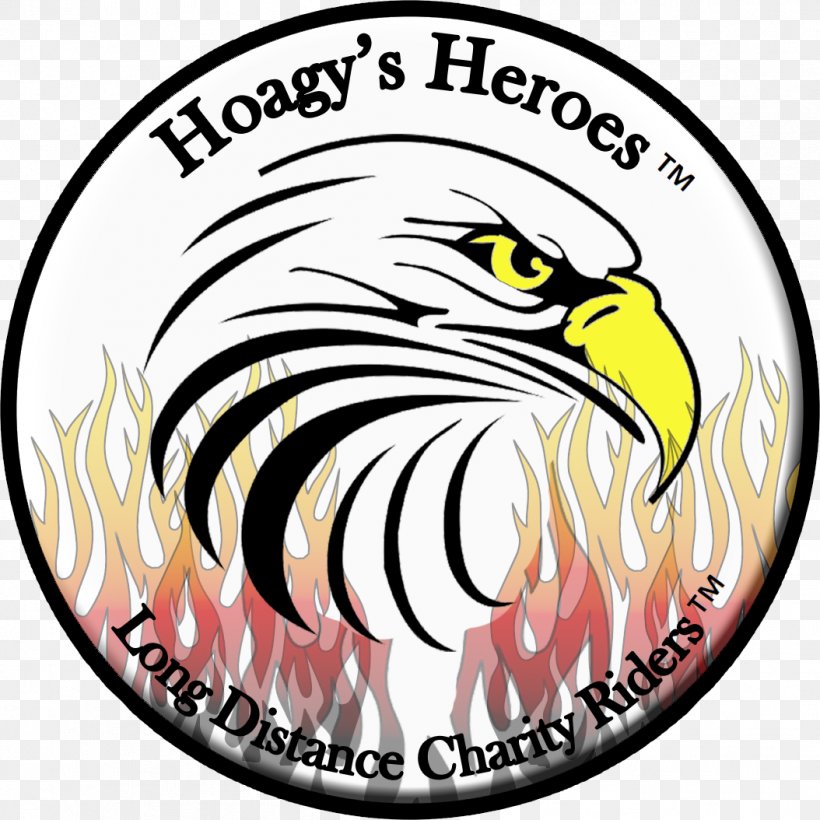 Bald Eagle Motorcycle Hoagy's Heros Inc Organization Logo, PNG, 1054x1054px, Bald Eagle, Artist, Beak, Bird, Bird Of Prey Download Free