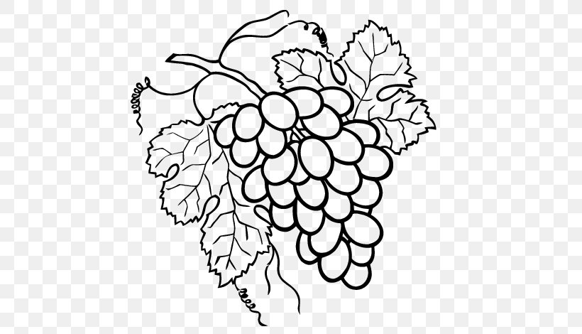 Drawing Grape Raceme Painting, PNG, 600x470px, Drawing, Area, Art, Black And White, Branch Download Free