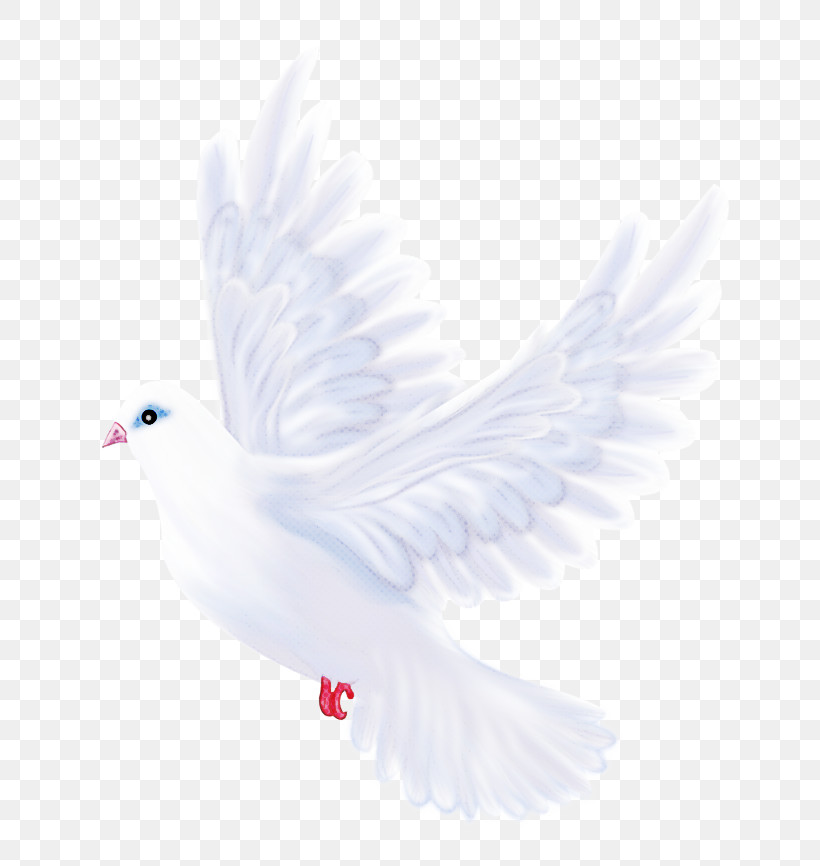 Feather, PNG, 742x866px, White, Beak, Bird, Feather, Peace Download Free