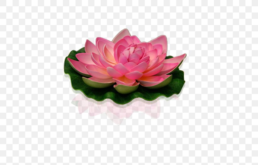 Sacred Lotus Artificial Flower Pink Garden Roses, PNG, 527x527px, Sacred Lotus, Aquatic Plant, Artificial Flower, Color, Decorative Arts Download Free