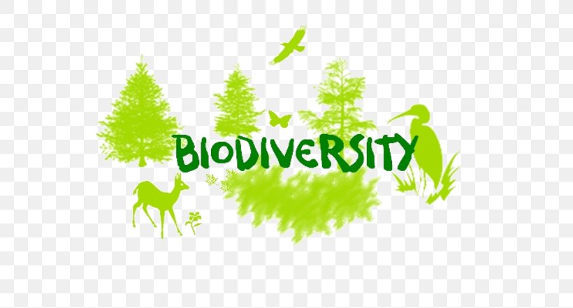Biodiversity Loss Natural Environment Convention On Biological Diversity Science, PNG, 640x441px, Biodiversity, Biodiversity Loss, Branch, Brand, Convention On Biological Diversity Download Free