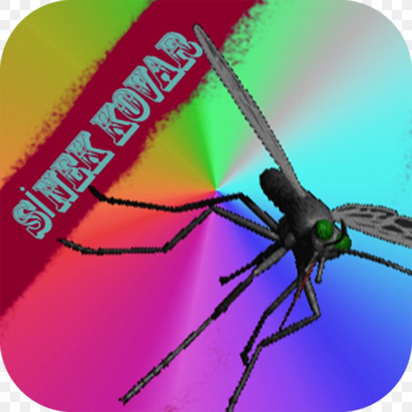 Mosquito App Store IPod Touch Apple Insect, PNG, 1024x1024px, Mosquito, App Store, Apple, Apple Tv, Arthropod Download Free