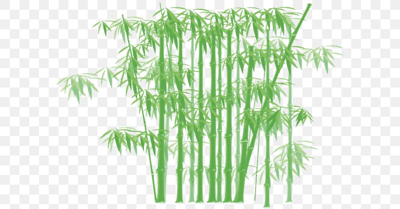 Tropical Woody Bamboos Giant Timber Bamboo, PNG, 600x430px, Tropical Woody Bamboos, Bamboo, Bamboo Painting, Description, Drawing Download Free