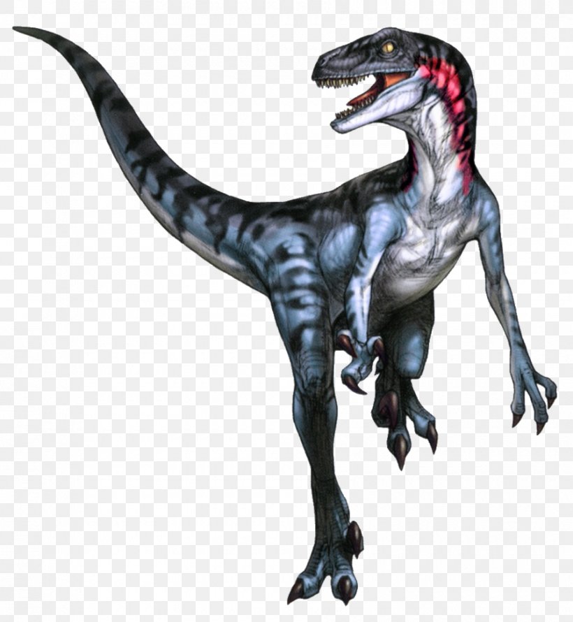 Velociraptor Utahraptor Tyrannosaurus Dinosaur Theropods, PNG, 900x977px, Watercolor, Cartoon, Flower, Frame, Heart Download Free