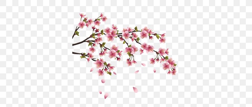 Cherry Blossom Wall Decal Branch, PNG, 350x350px, Blossom, Branch, Cherry, Cherry Blossom, Cut Flowers Download Free