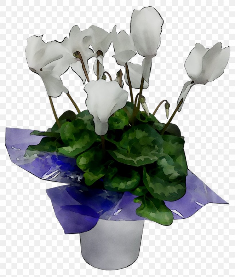 Cyclamen Floral Design Cut Flowers Flower Bouquet, PNG, 1124x1328px, Cyclamen, Anthurium, Artificial Flower, Bouquet, Cut Flowers Download Free