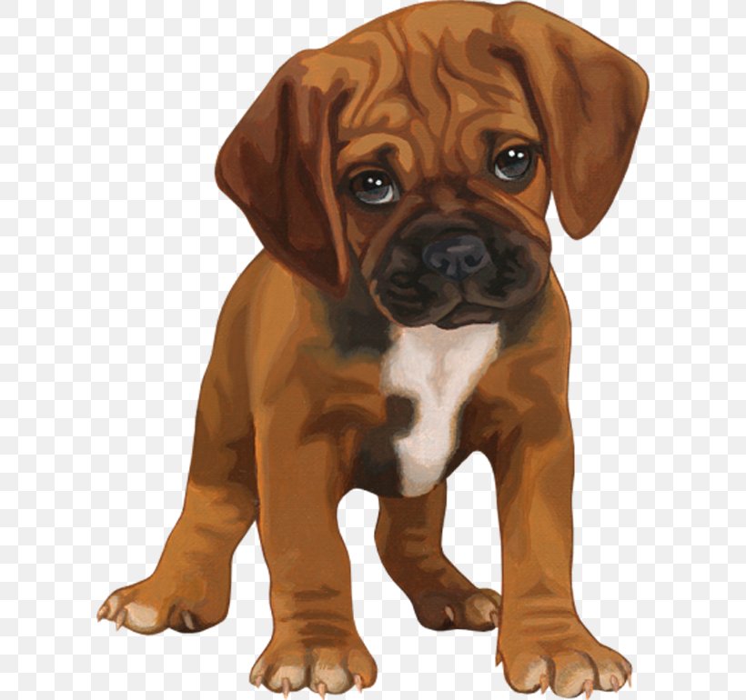 Puppy Clip Art Image GIF, PNG, 608x770px, Puppy, Animal, Boxer, Carnivoran, Companion Dog Download Free