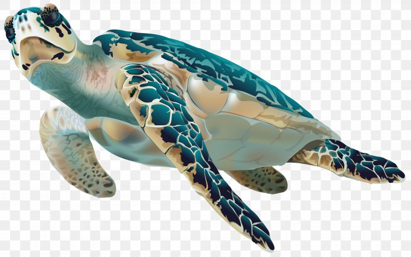 Sea Turtle Clip Art, PNG, 8000x5014px, Turtle, Box Turtle, Fauna, Green Sea Turtle, Hawksbill Sea Turtle Download Free
