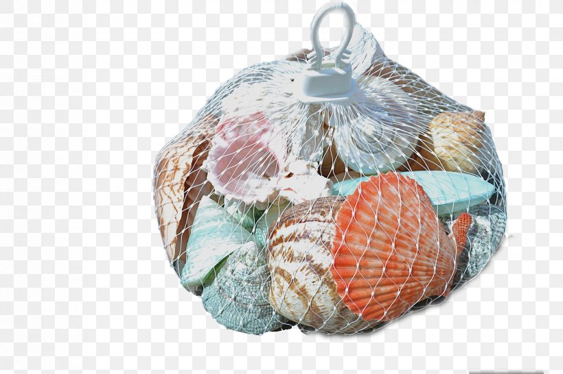 Seashell Plastic Mesh Net Hanger Bag, PNG, 1650x1100px, Seashell, Bag, Beach, Christmas, Christmas Ornament Download Free