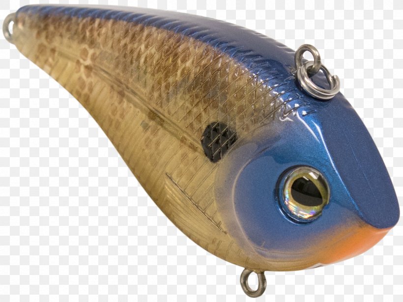 Spoon Lure Cobalt Blue Fish, PNG, 1200x900px, Spoon Lure, Bait, Blue, Cobalt, Cobalt Blue Download Free