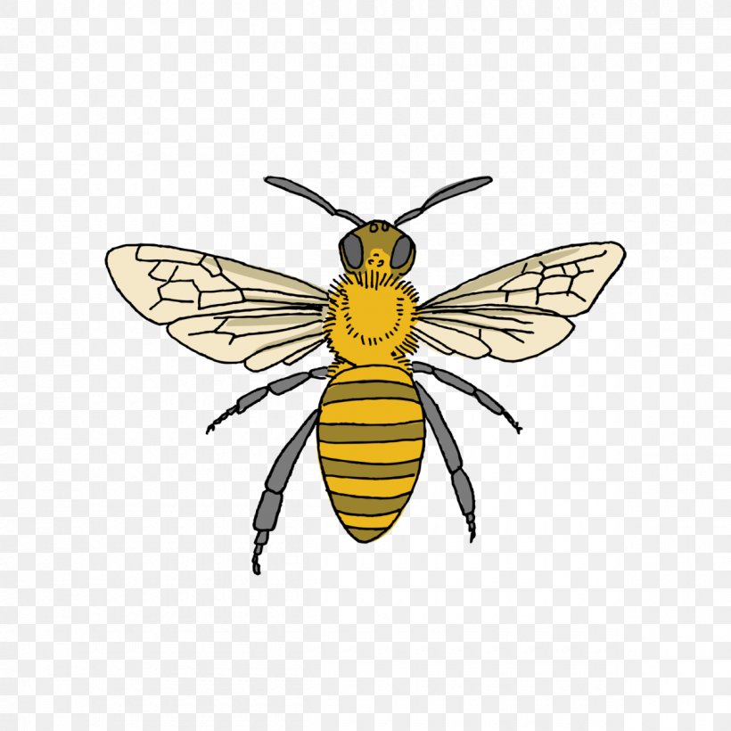 Tattly Honey Bee Bumblebee Beekeeping Tattoo, PNG, 1200x1200px, Tattly, Abziehtattoo, Apiary, Apidae, Arthropod Download Free