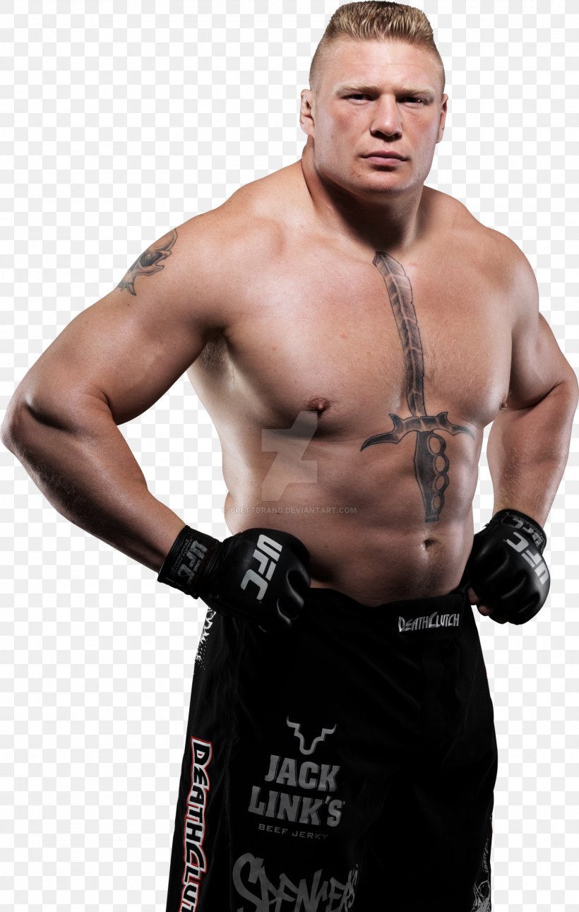 Brock Lesnar UFC 116 Mixed Martial Arts World Heavyweight Championship Best Fighter ESPY Award, PNG, 1600x2520px, Watercolor, Cartoon, Flower, Frame, Heart Download Free