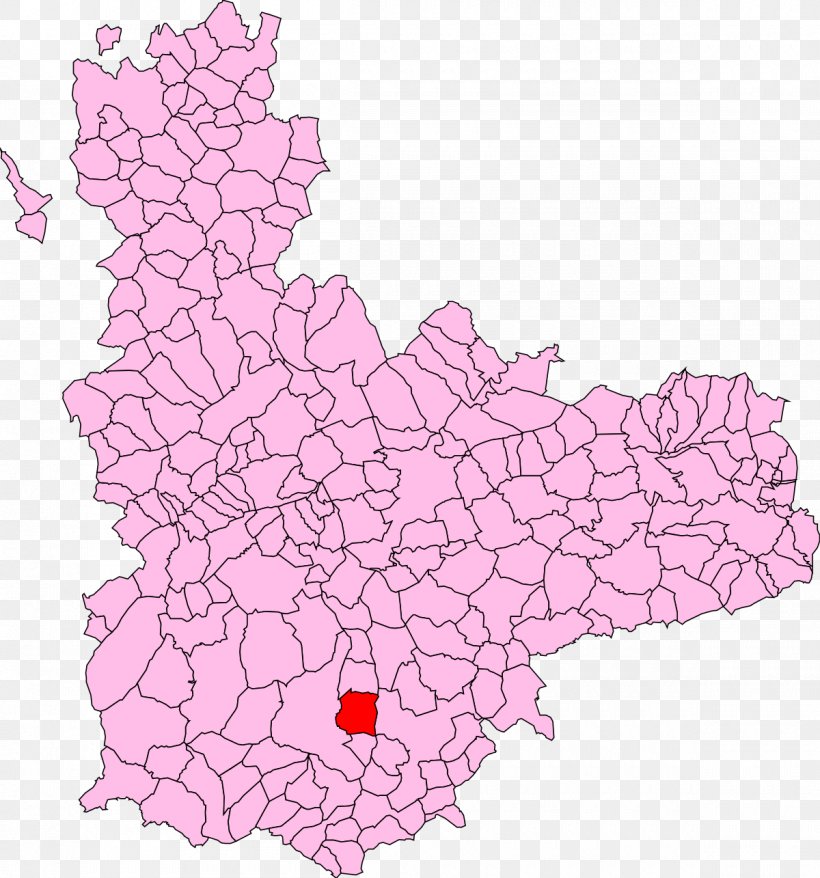 El Carpio, Valladolid Palencia Casasola De Arión Campaspero, PNG, 1200x1285px, Valladolid, Area, Flower, Map, Municipality Download Free