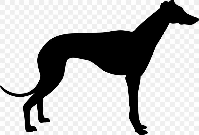 Greyhound Silhouette Clip Art, PNG, 2400x1629px, Greyhound, Animal Sports, Black And White, Carnivoran, Clip Art Download Free