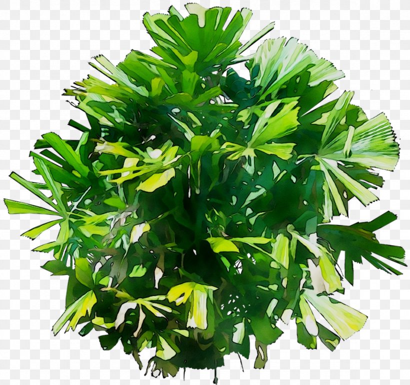 Herb Tree, PNG, 1177x1107px, Herb, Aquarium Decor, Flower, Flowering Plant, Grass Download Free