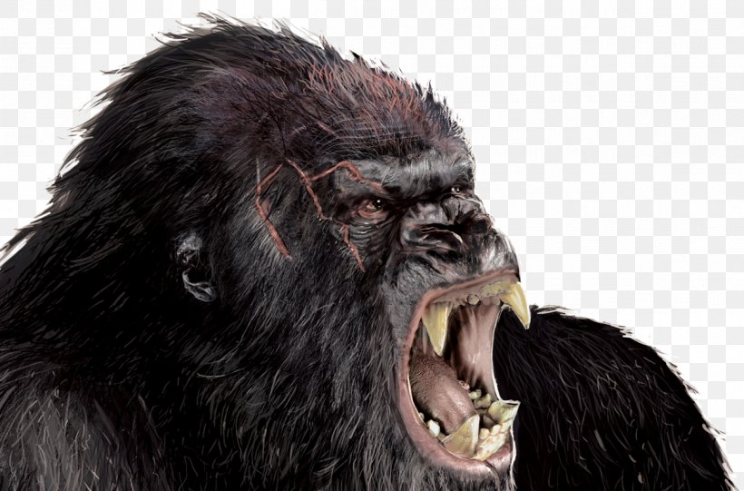 Hollywood King Kong Godzilla Rodan Film, PNG, 1211x800px, Hollywood, Adventure Film, Chimpanzee, Common Chimpanzee, Film Download Free