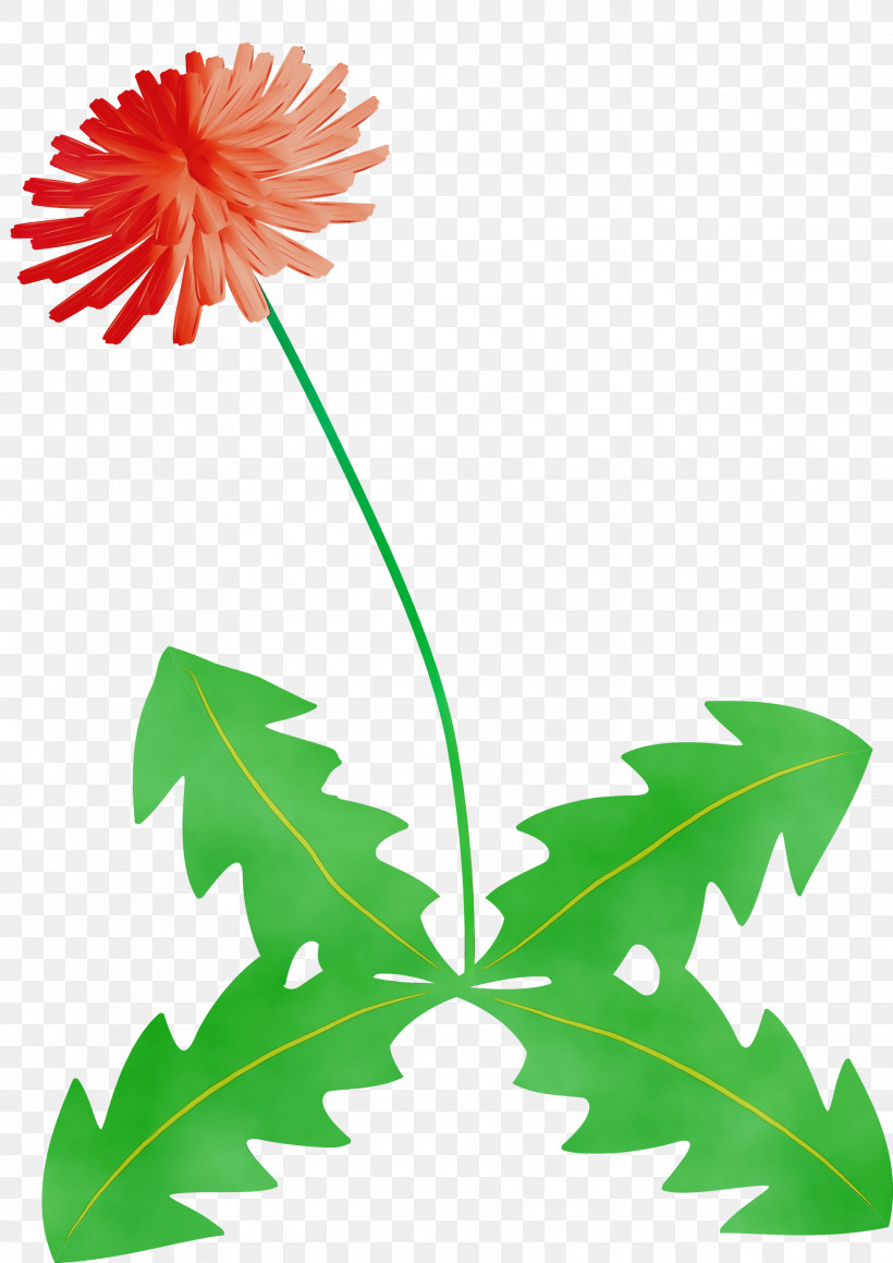 Leaf Dandelion Plant Stem Pedicel Flower, PNG, 2121x2999px, Dandelion Flower, Branch, Daisy Family, Dandelion, Flower Download Free
