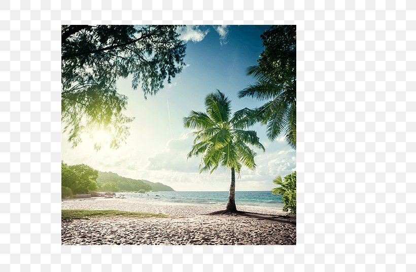 Anse Lazio Mahé, Seychelles Beach Stock Photography, PNG, 577x536px, Anse Lazio, Arecales, Beach, Depositphotos, Inlet Download Free