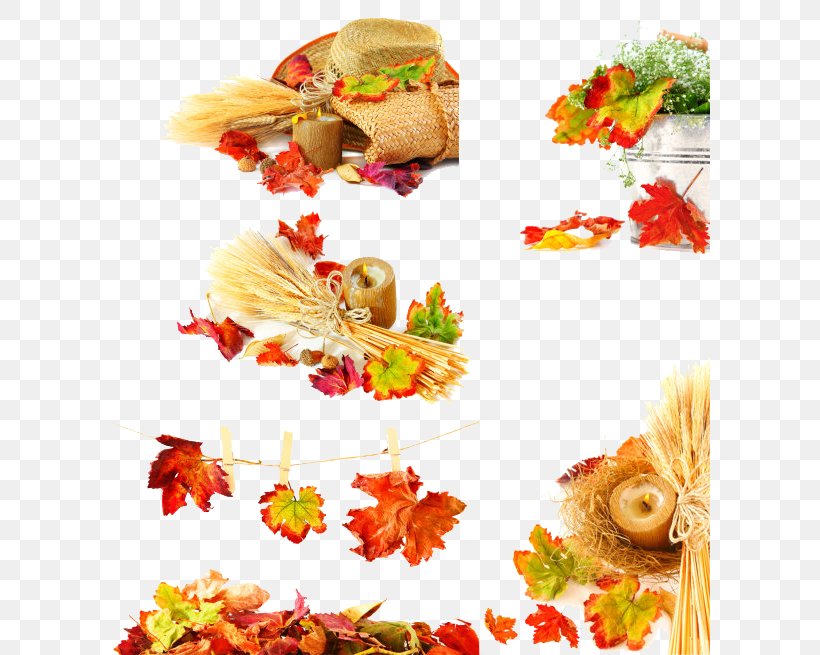 Autumn Harvest, PNG, 600x655px, Autumn, Autumn Leaf Color, Bumper Crop, Cuisine, Deciduous Download Free