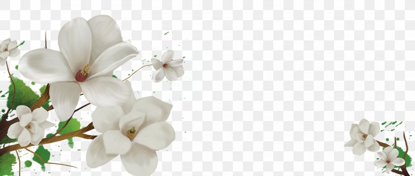 Cape Jasmine Flower Floral Design, PNG, 1728x737px, Cape Jasmine, Blossom, Branch, Cut Flowers, Flora Download Free