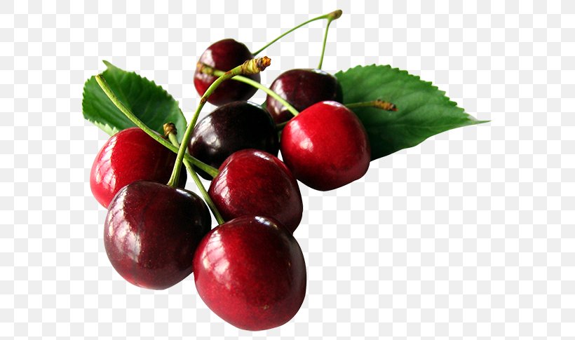 Cherry Pie Sour Cherry Plum Cherries, PNG, 600x485px, Cherry Pie, Acerola, Acerola Family, Berries, Berry Download Free