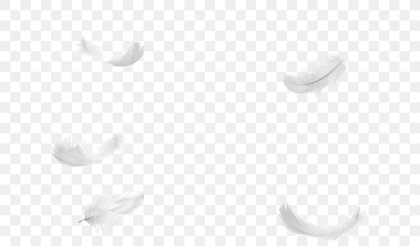Feather Light White Tree, PNG, 640x480px, Feather, Bird, Black And White, Blue, Christmas Lights Download Free